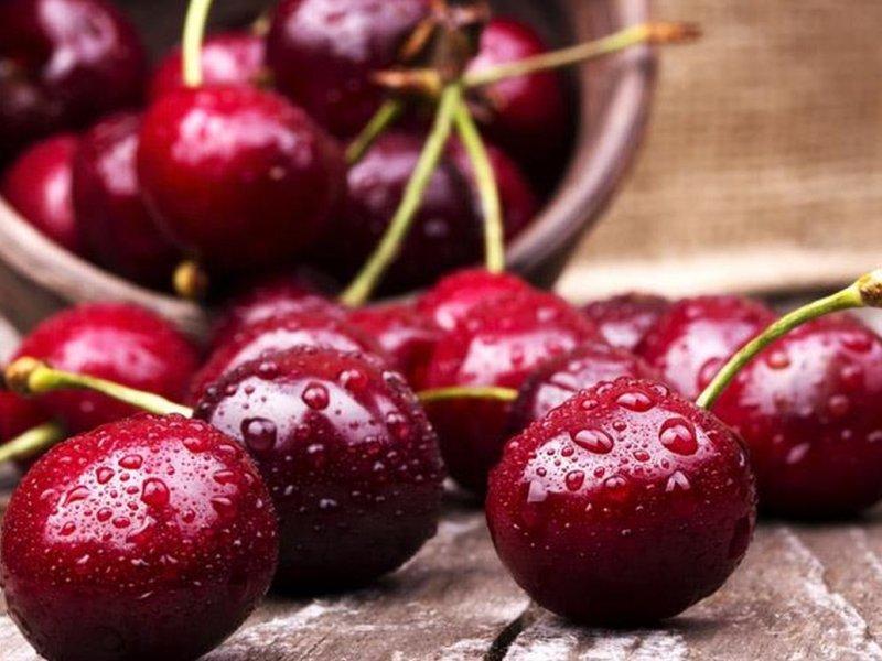 Вишня купить саженцы из питомника в Прохладном